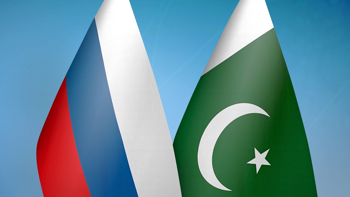 Национальные комитеты МИРЭС в России и Пакистане договорились о развитии взаимодействия